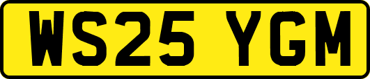 WS25YGM
