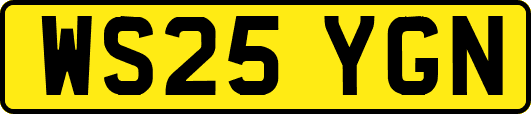 WS25YGN