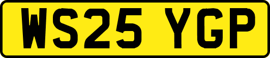 WS25YGP