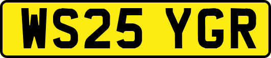WS25YGR