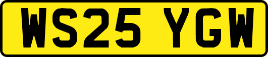 WS25YGW