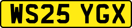 WS25YGX