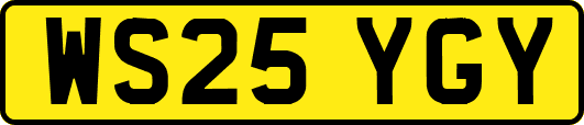 WS25YGY