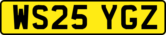 WS25YGZ