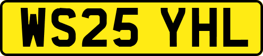 WS25YHL