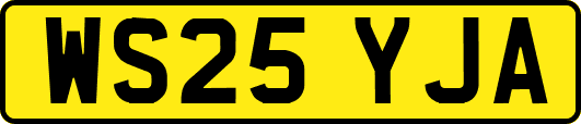 WS25YJA