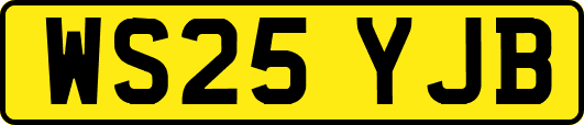 WS25YJB