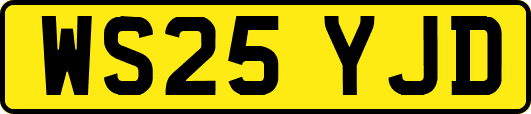 WS25YJD