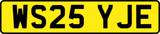 WS25YJE