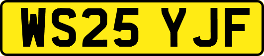 WS25YJF