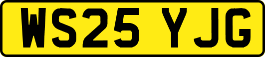 WS25YJG
