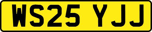 WS25YJJ