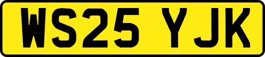 WS25YJK