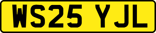 WS25YJL