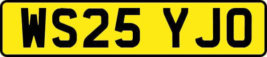 WS25YJO