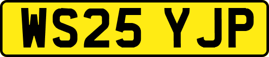 WS25YJP