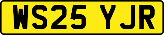 WS25YJR
