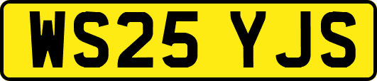 WS25YJS