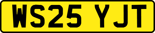 WS25YJT