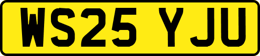 WS25YJU