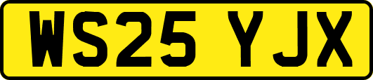WS25YJX