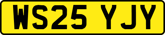 WS25YJY