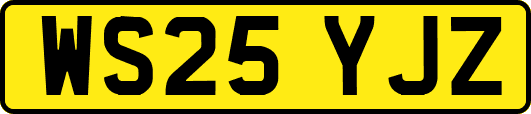WS25YJZ