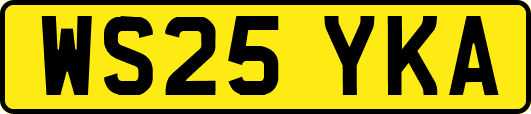 WS25YKA