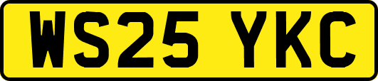 WS25YKC
