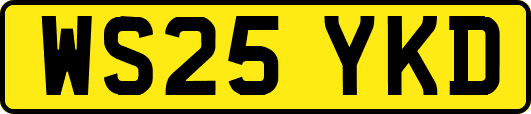WS25YKD