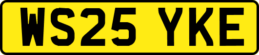 WS25YKE