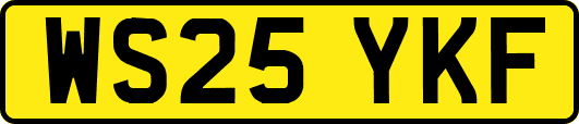 WS25YKF