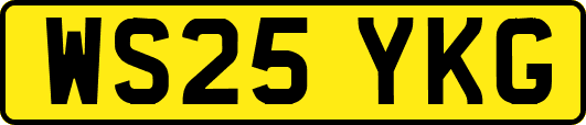 WS25YKG