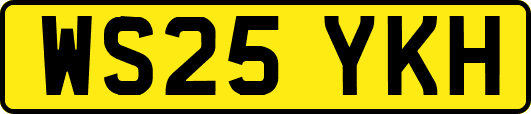 WS25YKH