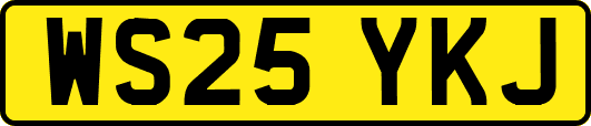 WS25YKJ