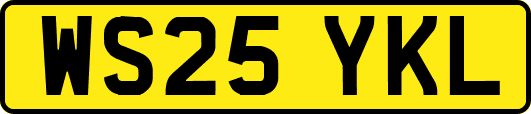 WS25YKL