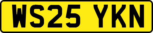 WS25YKN