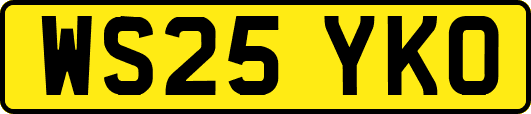 WS25YKO
