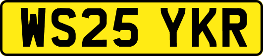 WS25YKR
