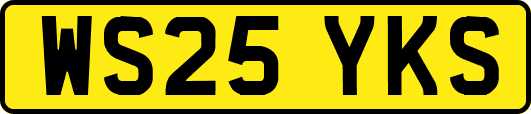 WS25YKS