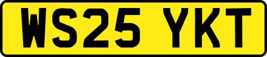 WS25YKT