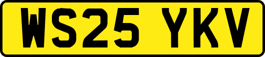 WS25YKV