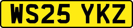 WS25YKZ