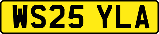 WS25YLA