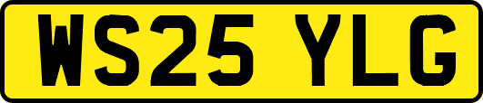WS25YLG