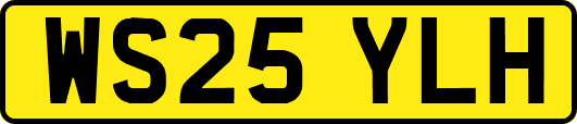 WS25YLH