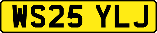 WS25YLJ