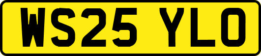 WS25YLO