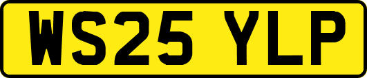 WS25YLP