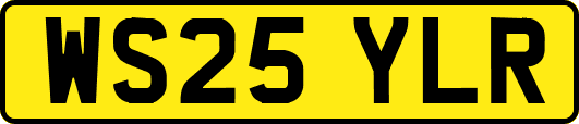 WS25YLR